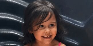 Four-Year-Old Girl Killed in Freak Tractor Accident on Family Farm four-year-old-girl-killed-in-freak-tractor-accident-on-family-farm