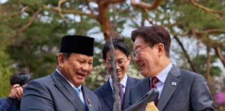 indonesia-and-south-korea-upgrade-their-strategic-relationship
