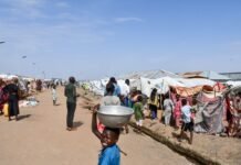 Nearly 100,000 displaced in Sudan’s Blue Nile state since January amid fighting: UN agency nearly-100,000-displaced-in-sudan’s-blue-nile-state-since-january-amid-fighting:-un-agency
