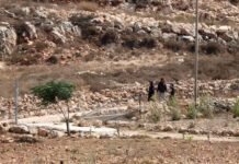 human-rights-watch,-amnesty-urge-eu-to-ban-trade-with-israeli-settlements