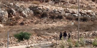 human-rights-watch,-amnesty-urge-eu-to-ban-trade-with-israeli-settlements