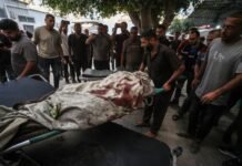Israeli fire kills 3 more Palestinians in latest Gaza ceasefire violations israeli-fire-kills-3-more-palestinians-in-latest-gaza-ceasefire-violations
