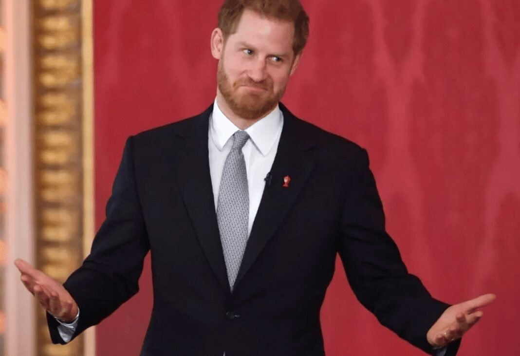 prince-harry-thinks-the-royal-family-‘needs-him’