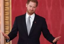 prince-harry-thinks-the-royal-family-‘needs-him’