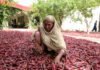 pakistan’s-new-chengdu-trade-route-shows-cpec-can-work