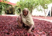 Pakistan’s new Chengdu trade route shows CPEC can work pakistan’s-new-chengdu-trade-route-shows-cpec-can-work