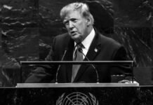 stop-mad-donald’s-iran-war:-open-letter-to-the-us-congress