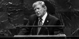 stop-mad-donald’s-iran-war:-open-letter-to-the-us-congress