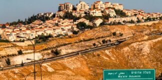 The Netherlands Criminalizes Purchase of West Bank Settlement Goods as European Restrictions Expand the-netherlands-criminalizes-purchase-of-west-bank-settlement-goods-as-european-restrictions-expand