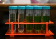 Colorado Marijuana Company Voluntarily Recalls Dozens of Contaminated Products Amid State Regulatory Delays colorado-marijuana-company-voluntarily-recalls-dozens-of-contaminated-products-amid-state-regulatory-delays
