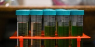 colorado-marijuana-company-voluntarily-recalls-dozens-of-contaminated-products-amid-state-regulatory-delays