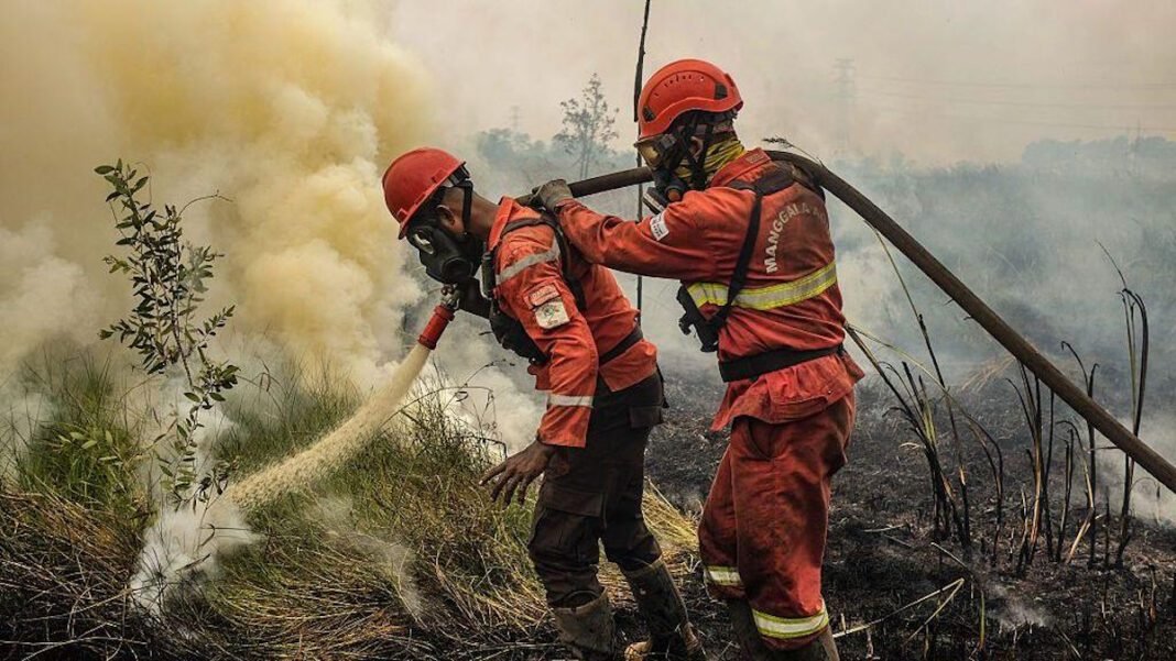 indonesia-should-have-a-seat-at-new-forest-firefighting-fund indonesia-should-have-a-seat-at-new-forest-firefighting-fund