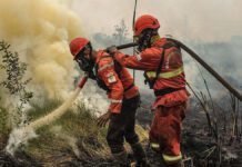Indonesia should have a seat at new forest firefighting fund indonesia-should-have-a-seat-at-new-forest-firefighting-fund