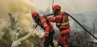 indonesia-should-have-a-seat-at-new-forest-firefighting-fund