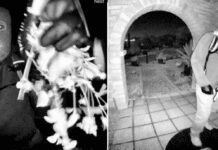 Nancy Guthrie Case Takes New Turn as Investigators Find Another Ransom Note nancy-guthrie-case-takes-new-turn-as-investigators-find-another-ransom-note