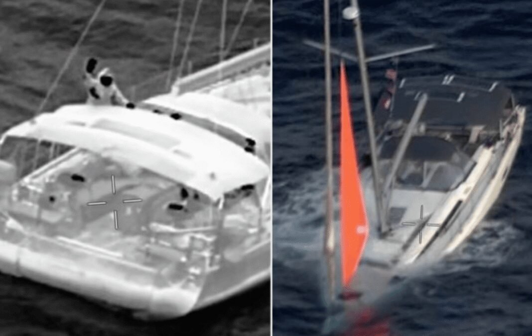 huge-whale-sinks-yacht-leaving-sailors-stranded-at-sea