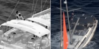 Huge Whale Sinks Yacht Leaving Sailors Stranded at Sea huge-whale-sinks-yacht-leaving-sailors-stranded-at-sea