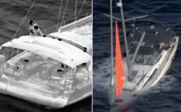 Huge Whale Sinks Yacht Leaving Sailors Stranded at Sea huge-whale-sinks-yacht-leaving-sailors-stranded-at-sea