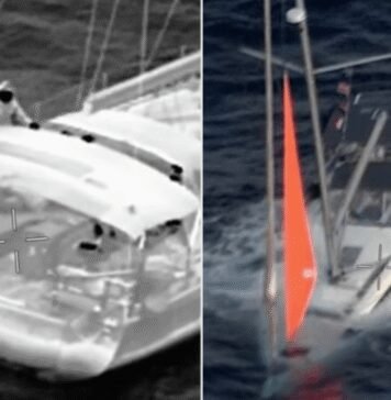 Huge Whale Sinks Yacht Leaving Sailors Stranded at Sea huge-whale-sinks-yacht-leaving-sailors-stranded-at-sea