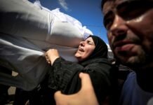 While Gaza dominates the UN, these are the people keeping it alive while-gaza-dominates-the-un,-these-are-the-people-keeping-it-alive