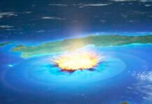 dinosaur-killing-impact-crater-might-have-been-teeming-with-life