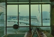 passenger-dies-after-man-runs-onto-runway-and-is-struck-by-plane