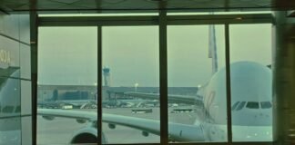 passenger-dies-after-man-runs-onto-runway-and-is-struck-by-plane