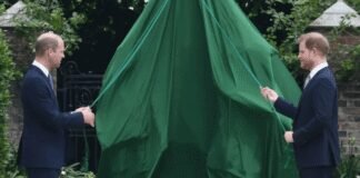 King Charles to Use Princess Diana to Reunite William and Harry king-charles-to-use-princess-diana-to-reunite-william-and-harry