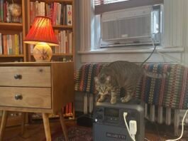 How I kept cool with NYC’s free battery program for window AC units how-i-kept-cool-with-nyc’s-free-battery-program-for-window-ac-units