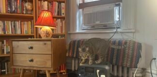 how-i-kept-cool-with-nyc’s-free-battery-program-for-window-ac-units