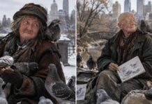 Real-Life ‘Home Alone’ Bird Lady Found Murdered in Central Park real-life-‘home-alone’-bird-lady-found-murdered-in-central-park