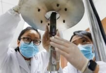 china-buys-time-for-its-young-scientists-as-us-rations-it