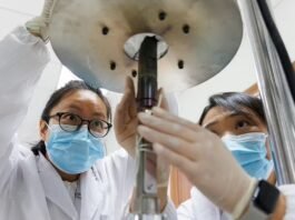 china-buys-time-for-its-young-scientists-as-us-rations-it