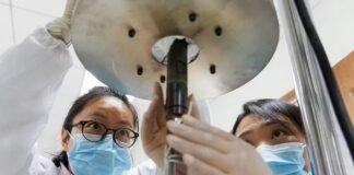 china-buys-time-for-its-young-scientists-as-us-rations-it