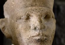 new-forensic-evidence-supports-egyptian-“retainer-sacrifice”