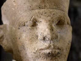new-forensic-evidence-supports-egyptian-“retainer-sacrifice”
