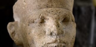 new-forensic-evidence-supports-egyptian-“retainer-sacrifice”
