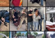 More Than 500 U.S. Citizens Have Been Detained, Including Handcuffed or Held at Gunpoint, in Trump’s Immigration Crackdown more-than-500-us.-citizens-have-been-detained,-including-handcuffed-or-held-at-gunpoint,-in-trump’s-immigration-crackdown