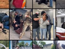 more-than-500-us.-citizens-have-been-detained,-including-handcuffed-or-held-at-gunpoint,-in-trump’s-immigration-crackdown