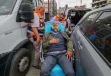 AFP Photographer Beaten by Israeli Settlers During West Bank Olive Harvest afp-photographer-beaten-by-israeli-settlers-during-west-bank-olive-harvest
