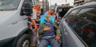 afp-photographer-beaten-by-israeli-settlers-during-west-bank-olive-harvest