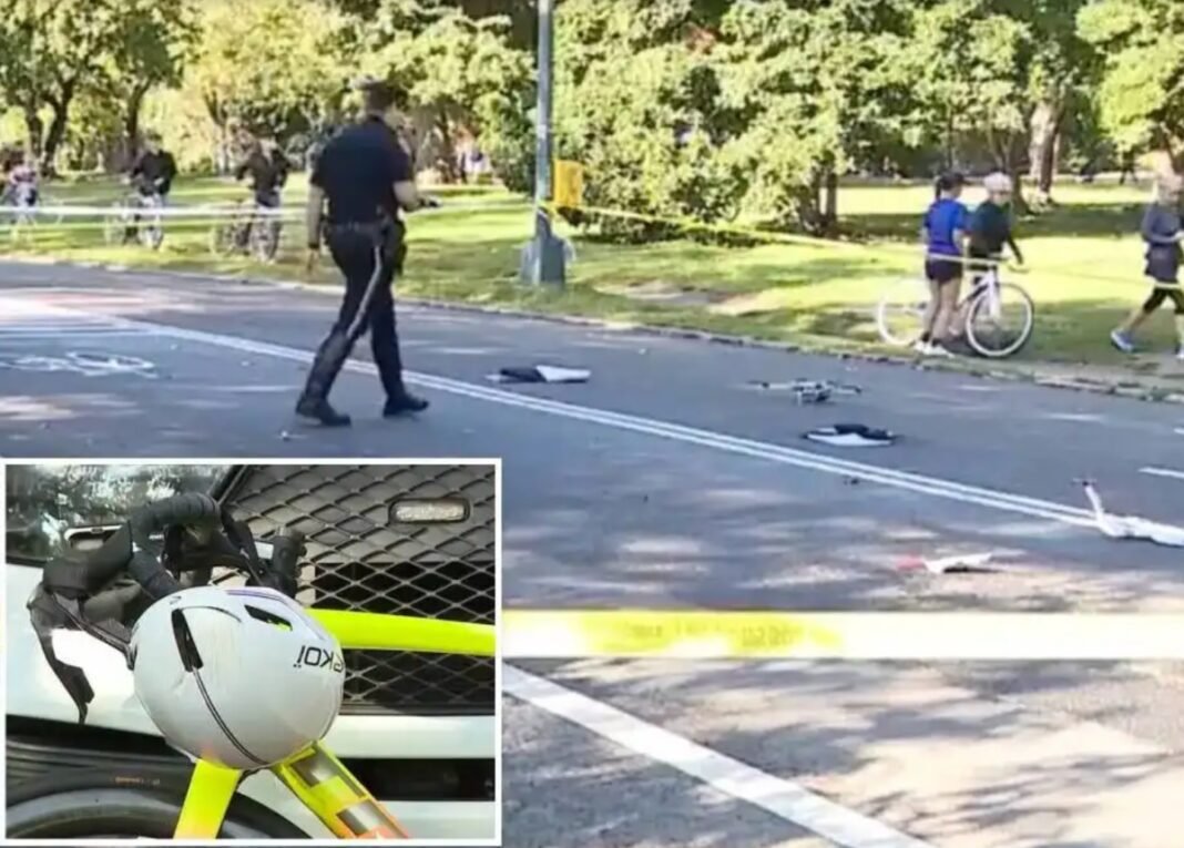 elderly-cyclist-killed-after-hitting-unleashed-dog-in-central-park