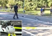 elderly-cyclist-killed-after-hitting-unleashed-dog-in-central-park