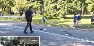 elderly-cyclist-killed-after-hitting-unleashed-dog-in-central-park