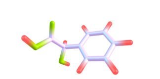 chemistry-nobel-goes-to-reactions-like-those-that-gave-life-a-hand