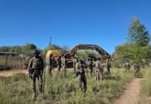 armed-border-agents-arrest-protesters,-bulldoze-200-year-old-tree-to-build-border-wall