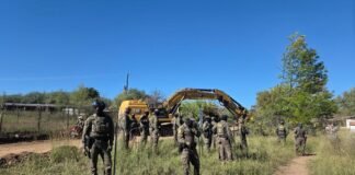armed-border-agents-arrest-protesters,-bulldoze-200-year-old-tree-to-build-border-wall