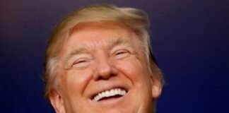 plainly,-trump-doesn’t-really-care-about-the-midterms