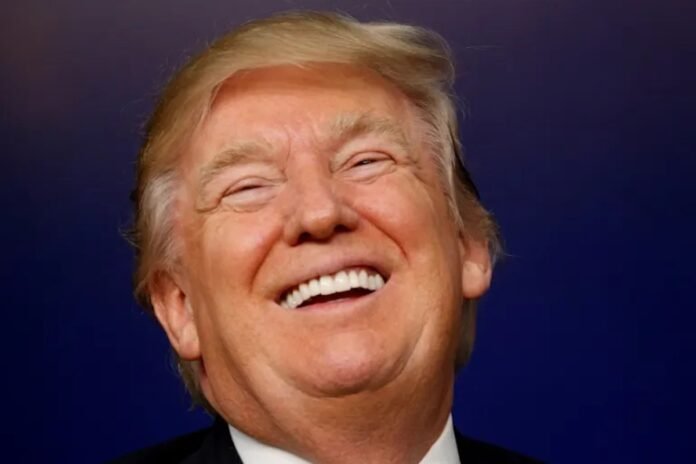 plainly,-trump-doesn’t-really-care-about-the-midterms