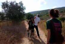 Israeli occupiers carry out 19 attacks on Palestinians, olive farmers across West Bank in hours israeli-occupiers-carry-out-19-attacks-on-palestinians,-olive-farmers-across-west-bank-in-hours